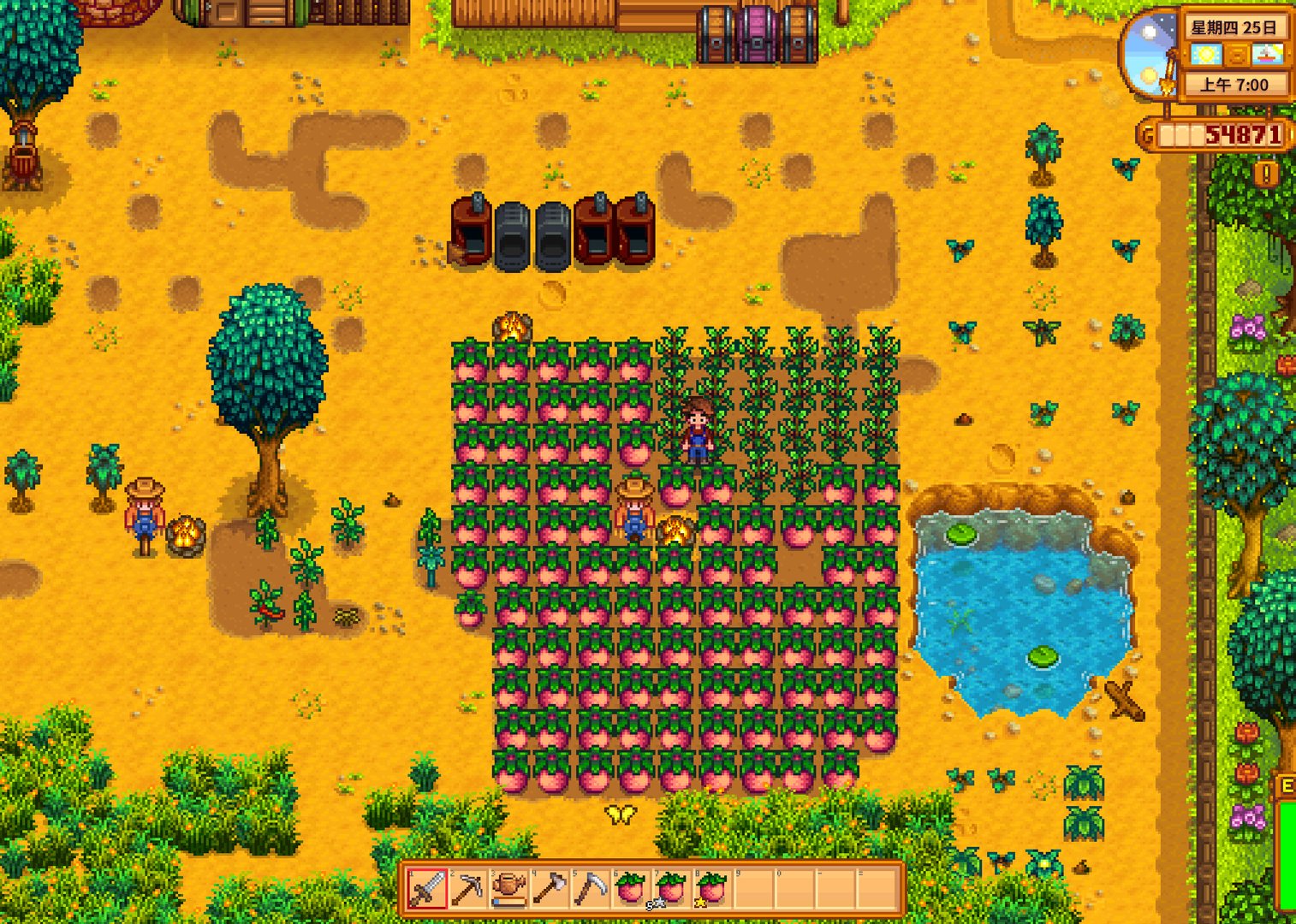 巫师3：狂猎 截图11