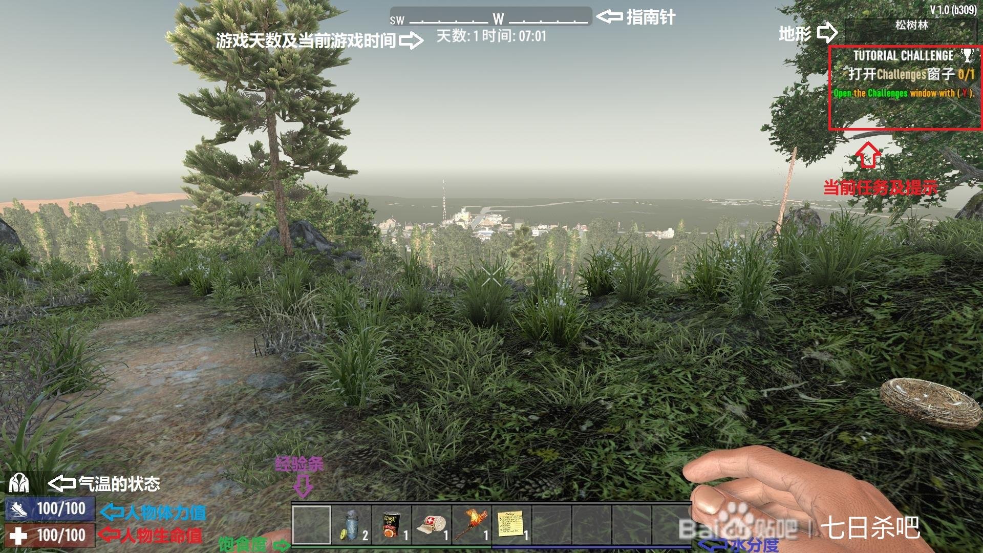 空洞骑士 重制版 截图8