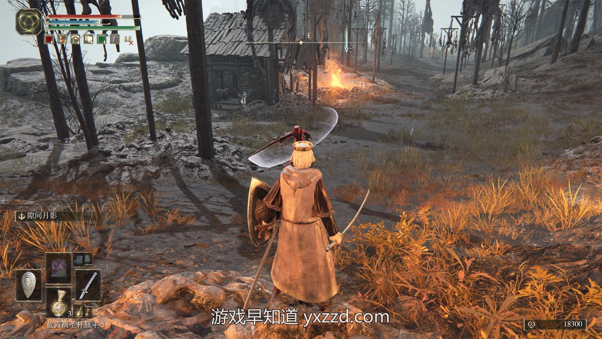 森林 豪华版 截图18