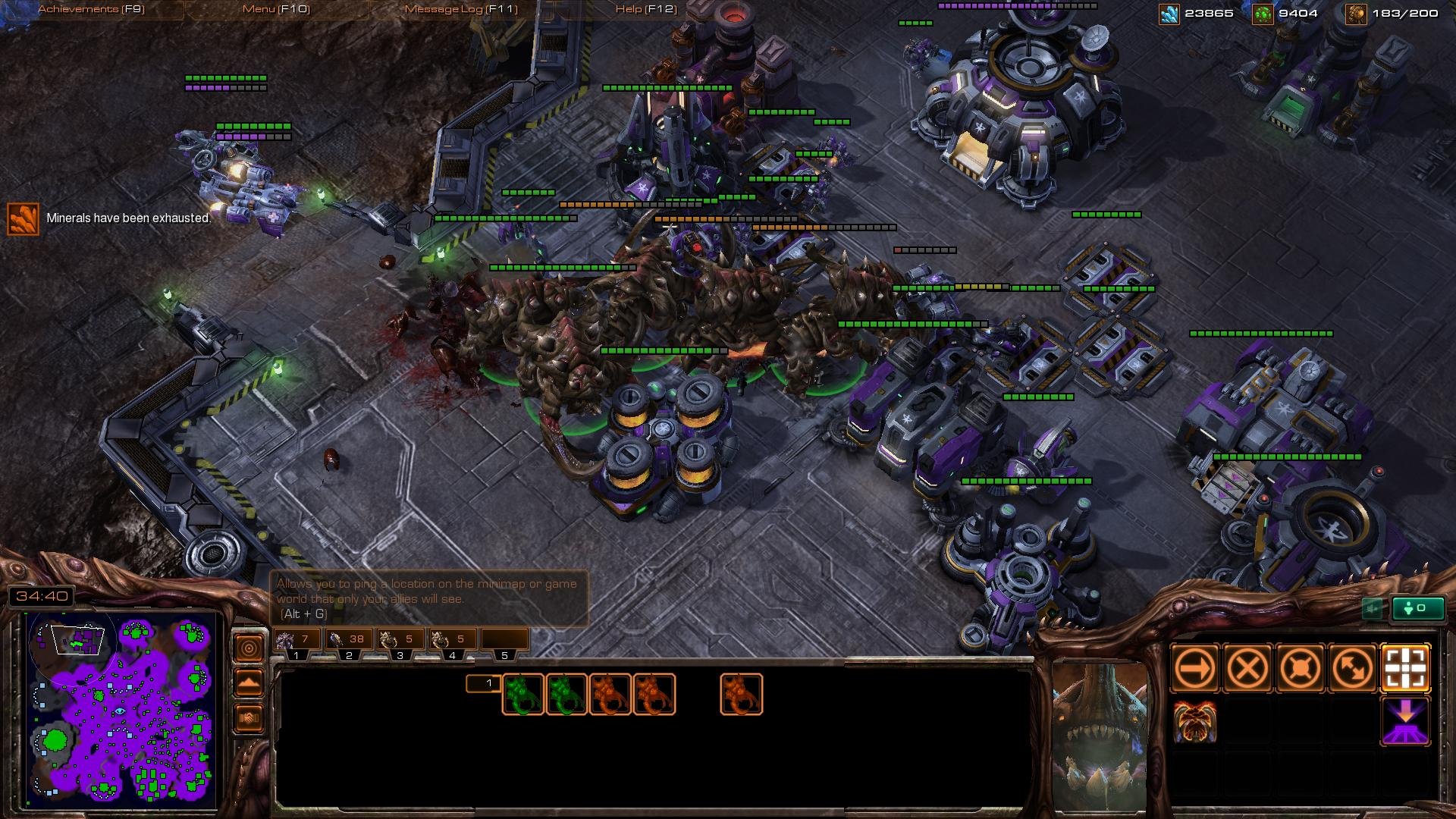 空洞骑士 完整版 截图22