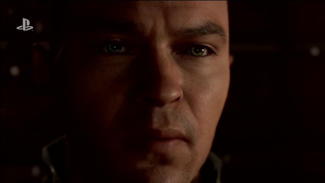 森林 年度版 截图22